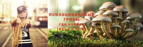 альфа пвп Заводоуковск