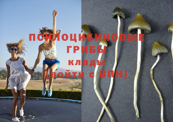 соль курить ск Заволжск