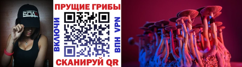 Галлюциногенные грибы MAGIC MUSHROOMS  купить наркоту  ОМГ ОМГ ТОР  Лагань 